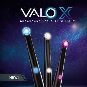 VALO X (유 무선 겸용/black)